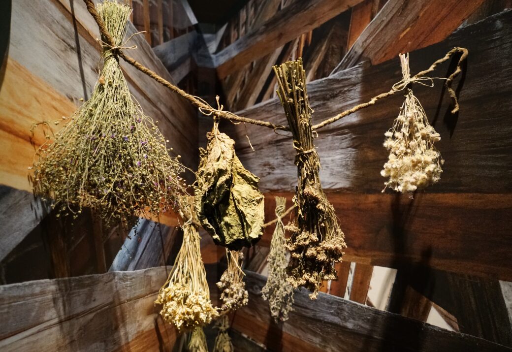 Dried herbs from the Round Tower's anniversary exhibition 