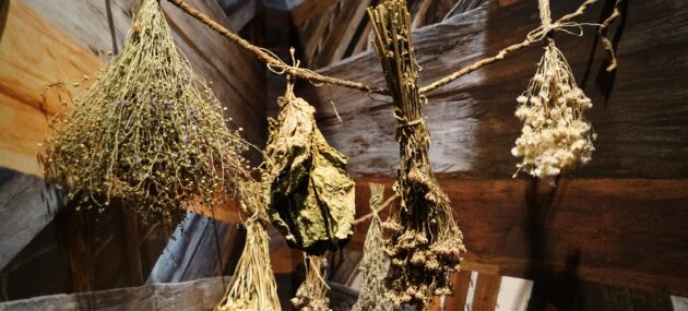Dried herbs from the Round Tower's anniversary exhibition 