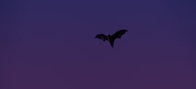 vikram-nair-TVcmspelcqI-unsplash Cropped